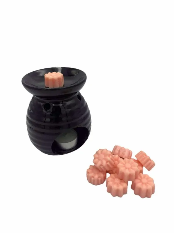 Wax melts τύπου La Vie Est Belle